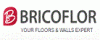 Bricoflor - your floors and walls expert